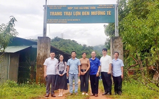 Khảo sát mô hình liên kết phát triển xây dựng nông thôn mới