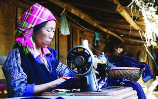 Nâng cao kỹ năng số cho cán bộ, người dân qua phong trào "Bình dân học vụ số"