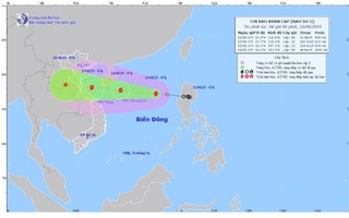 Áp thấp nhiệt đới đã mạnh lên thành cơn bão số 5
