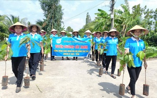Phụ nữ xã An Ngãi Trung: Trồng 150 cây hoa trang trí chào mừng Quốc khánh 2/9
