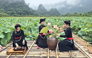 Đầm sen miền sơn cước góp phần xây dựng nông thôn mới ở Nà Va
