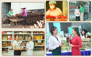 Gắn sản phẩm OCOP với du lịch cộng đồng: Khẳng định vị thế mới của Thành phố Hồ Chí Minh