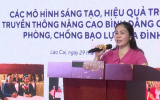 Giao lưu các mô hình truyền thông bình đẳng giới và phòng, chống bạo lực gia đình