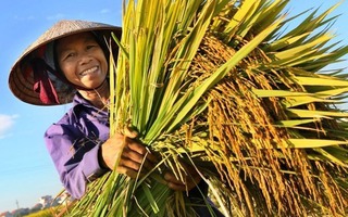 Hiệu quả của Chính sách giảm nghèo giai đoạn 2021-2025