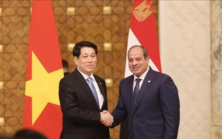 Nâng cấp quan hệ Việt Nam - Ai Cập lên Đối tác toàn diện