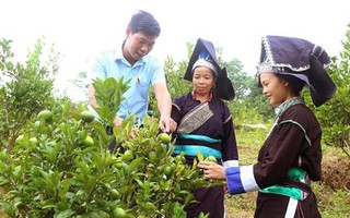 Lào Cai: Phấn đấu đến 2030, tỷ lệ lao động là người dân tộc thiểu số qua đào tạo đạt 50%