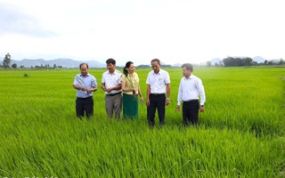 Phát huy nội lực của nhân dân trong xây dựng nông thôn mới