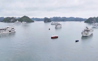Quảng Ninh: Nhiều giải pháp đưa khách du lịch trở lại sau sự cố lật tàu trên Vịnh Hạ Long