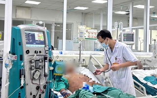 Cảnh báo khẩn: Tăng cường phòng chống bệnh liên cầu lợn lây sang người