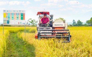 Khởi sắc ở vùng đồng bào dân tộc thiểu số Đông Nam tỉnh Lâm Đồng