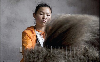 Bên trong công xưởng “vàng đen” ở Trung Quốc