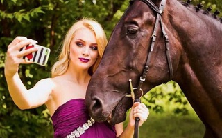 Tòa án Thụy Điển chấp nhận cho cô gái kết hôn với ngựa 