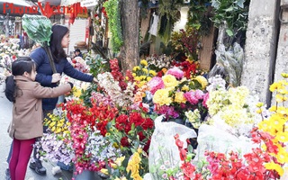 51 điểm chợ hoa xuân phục vụ người Hà Nội dịp Tết Canh Tý 2020