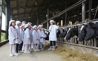1 ngày trải nghiệm vui vẻ của các em nhỏ tại Trang trại bò sữa Organic TH 