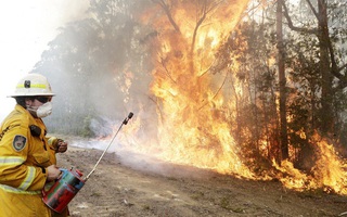Cháy rừng gây thiệt hại kinh tế 20 tỷ AUD cho Australia 