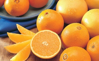 Dấu hiệu nhận biết đặc trưng của cam không hạt Navel 