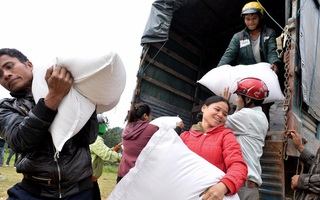 Hỗ trợ hơn 1.200 tấn gạo cho tỉnh Nghệ An