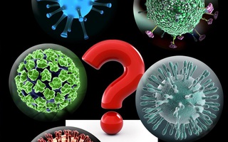 Chuyên gia Mỹ nói gì về bệnh viêm phổi cấp nghi giống đại dịch SARS 2002-2003