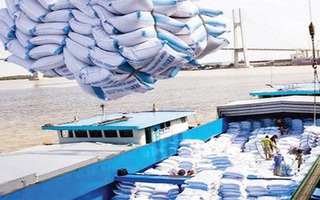 Thủ tướng chỉ đạo tạm dừng ký mới hợp đồng xuất khẩu gạo
