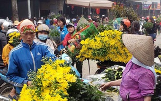 Hà Nội: Những người mua bán hoa của cả thành phố đều có nguy cơ nhiễm Covid-19