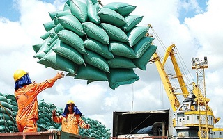 Bộ Tài chính đề nghị Bộ Công an vào cuộc vụ "lình xình" hạn ngạch xuất khẩu gạo