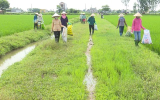 Phụ nữ Hưng Hà chung tay thu gom bao bì thuốc bảo vệ thực vật, hạn chế ô nhiễm môi trường