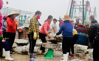 Ngư dân mang hàng tạ cá biển ủng hộ các khu cách ly tập trung 