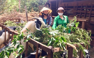 Phụ nữ Đắk Lắk đi đầu trong các phong trào xây dựng nông thôn mới