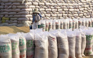 Bộ Tài chính chuyển hồ sơ vụ việc sai phạm trong mua gạo dự trữ quốc gia sang công an