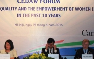 Tiến tới bình đẳng giới thực chất ở Việt Nam qua lăng kính CEDAW