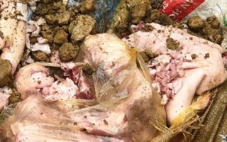 Lào Cai tiêu hủy 3 tạ thịt lợn nghi nhiễm sán chuẩn bị nấu ăn từ thiện