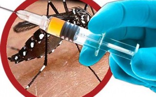 Thử nghiệm thành công vắc-xin chống virus Zika trên động vật