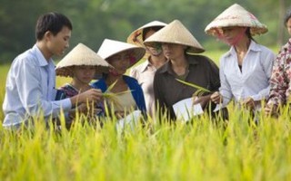 Agribank và TƯ Hội Nông dân Việt Nam tăng cường phối hợp triển khai hiệu quả chính sách 'Tam nông'