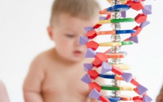 Khám phá sự hình thành gene di truyền ở bé