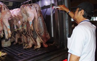 TPHCM: Thịt heo nhiễm thuốc an thần 'vẫn bán đầy ngoài chợ'