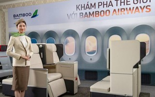 Thường trực Chính phủ đồng ý đề nghị cấp phép bay cho Bamboo Airways