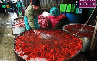 Chợ cá lớn nhất Hà Nội tấp nập trước ngày Táo quân chầu trời