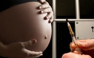 Phạm nhân nữ có chế độ thai sản không?