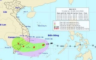 Có khả năng bão số 9 sẽ mạnh thêm, gió giật cấp 12