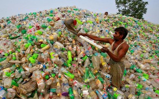 Con người 'bức tử' trái đất bằng 500 tỷ túi nhựa mỗi năm