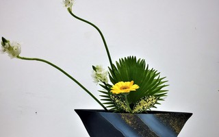 Giao mùa, thưởng lãm Ikebana giữa lòng Hà Nội