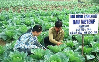 Hà Nội mở hội chợ đón nông sản sạch