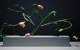 Vũ điệu hoa tulip từ kĩ thuật hoạt hình tĩnh vật