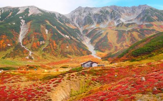Bản hòa sắc mùa thu ngất ngây xứ Phù Tang