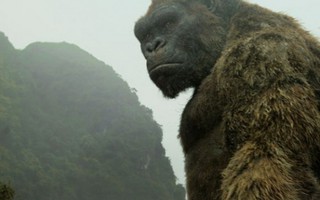 Từ chối dựng mô hình Kong ở khu vực hồ Hoàn Kiếm