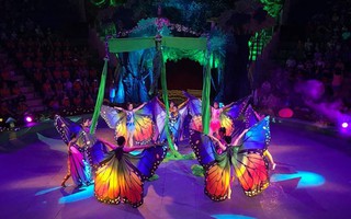 ‘Thế giới hoạt hình trong khu rừng thần tiên’ đổ bộ rạp xiếc