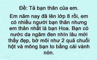 Cười chảy nước mắt với những bài văn 'bá đạo' của học trò