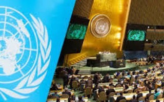 Liên hợp quốc mạnh tay chống nạn quấy rối tình dục 