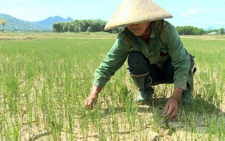 Biến đổi khí hậu tác động tới tăng trưởng kinh tế của Việt Nam