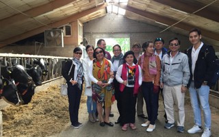 Đoàn bác sĩ Nhi khoa Việt tìm hiểu quy trình sản xuất sữa tại Hà Lan